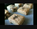 スコーン作ってみた【2種】