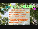 【ハーレー】 キャンプ道具紹介 【キャンツー】