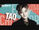 1/EXO TAO編
