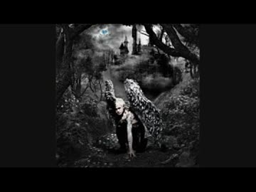 DAMIJAW 「薔薇の棘」