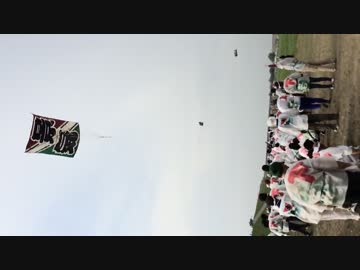 2014年春日部大凧あげ祭り 下若組 大凧を下ろす