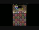 【パズドラ】水曜ダンジョン 地獄級 天ルシPT