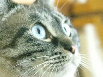 ジャンくん目線で語る男同士のキス