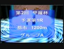 第2回甲羅杯予選第1R