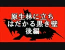 【実況】MH4初狩り日記Part36