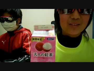 HIKAKINに憧れた結果ｗｗｗｗ　part14