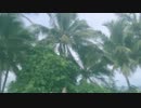 Pawws - Give You Love