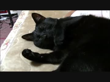 自作PC組立#5 完結編