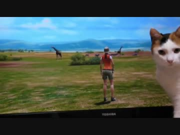 猫のもふもふを堪能してアフリカ ～おばあちゃんカメラマンの挑戦～