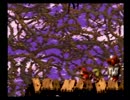 【実況】紳士2人がスーパードンキーコング２をプレイしてみた part17