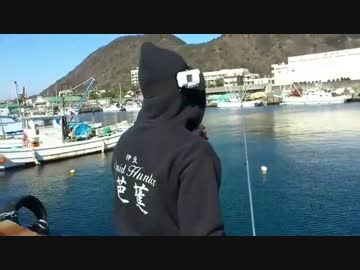 【魚釣り】お魚１００種　釣れるかな？【実況】 part 23