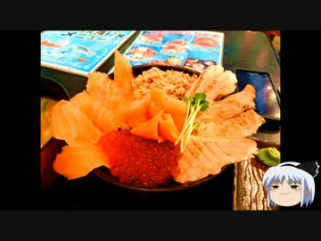 【CBR400R日記】海鮮丼が食べたくての巻