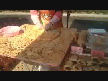 中国の屋台ヤバすぎｗ