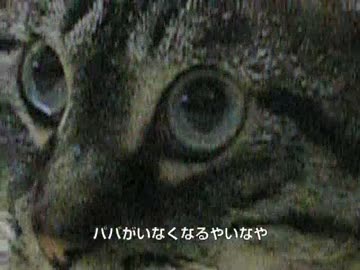 ナデナデの儀式でジャンくんは甘えん坊に