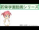 どんな色が好き