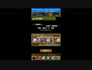 パズドラ　大泥棒参上！超地獄級　キルアパ