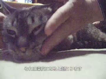 ジャンくんの夜泣き？　新しい甘え方