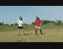 【生茶】lllトゥルティンアンテナlll【踊ってみた】