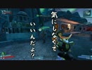 【初プレイ実況】♂×♀のBorderlands2【PART19】