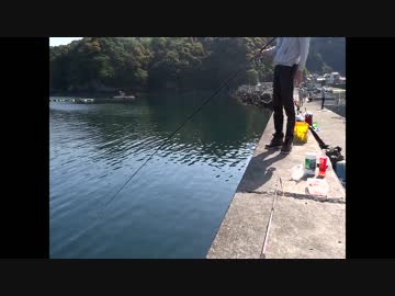 島勝浦漁港ででのんびり堤防釣りをする