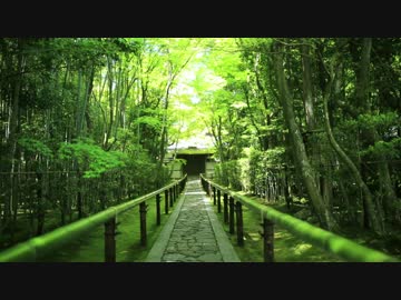 新緑の京都(2014/5/11)