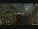 【オフラインな】ダークソウル2初見実況プレイ 第51話【DARK SOULS Ⅱ】