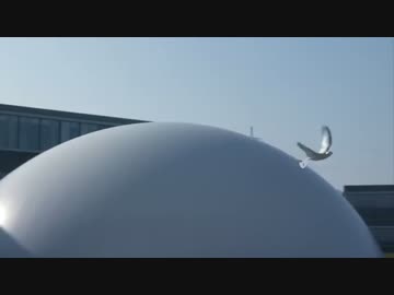 生きているようにしか見えない鳥ロボ