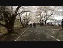 【CB400SF】初心者ちびライダーのお花見ツーリング Part2 海津大崎編