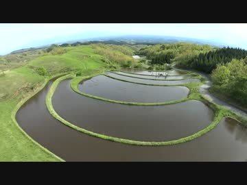 春の棚田を飛んで見た【ラジコン空撮】