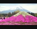 隼ロロ号で行く！富士芝桜＆白糸の滝  タンデムツーリング