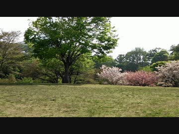 【ノビノビと踊ってみた】 ハッピーシンセサイザ 【てぃもん】