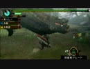 [実況]元スイマーが今更狩猟生活Part.24[MHP3]