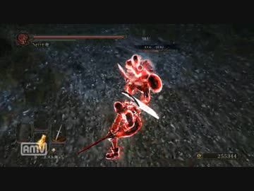 死合【 vs ハベル様、オーラ持ち様　】