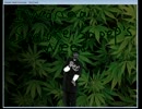新作アイワナプレイ記 part468
