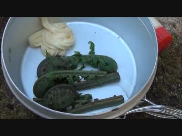 【実写版】川のぬし釣り -五月晴れの爆釣！編-