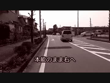 3万円でぶらり甲信自転車旅　埼玉県さいたま市～入間郡その３
