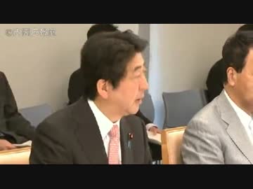 安倍先輩「TPP交渉におけるキー・マイルストーン」平成26年5月16日