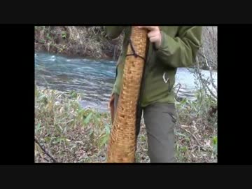 キツネの野宿　天間林　その９