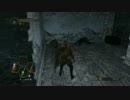 【DarkSouls2】ロートル剣士 覇者への道 Part.13【PC版】