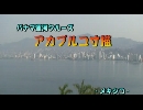パナマ運河クルーズ３０「アカプルコ寸描」