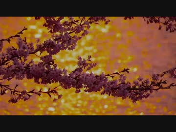 旅人なひととき　続・日本横断の旅―雪国の春を求めて #0