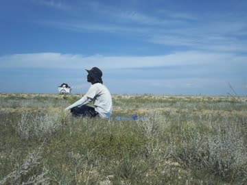 モンゴル徒歩縦断の旅　ｐａｒｔ4　～ロシア国境から中国国境1100ｋｍ～