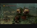 【実況】ぶらり旅するダークソウル2　第四十九話【PS3】