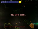 【縛り実況】ＰＣ版Terrariaを色々と楽しみながらとにかく遊ぶ実況part20