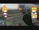 ゆっくり戦闘日誌ｖ２　パート１６　～遅ればせのセカンド～