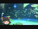 ゆっくりれいむのアクア放浪記　#6　サンシャイン水族館