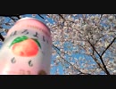 三十路直前のおっさんです。１