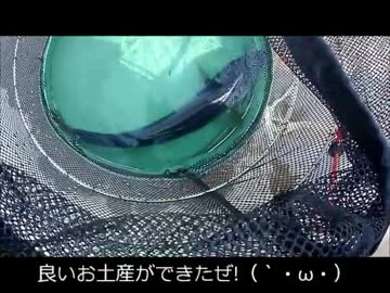 【かーびーの釣り日記】24 北陸遠征 後編「まさかの青物祭り!?」