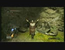 【ダークソウル2】盾？HP振り？覇者には不要です。【初見実況】33-3