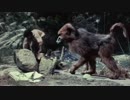 ③シンドバッド虎の目大冒険 5/6